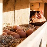 Horská chata Hochleben-chalets Am Steinerhof