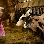 Hochleben-chalets Am Steinerhof Horská chata *