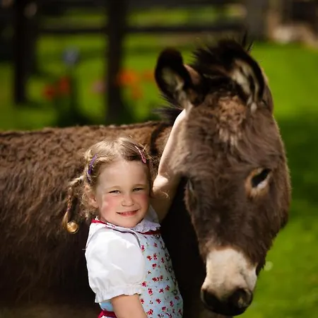 Hochleben-chalets Am Steinerhof Chalet