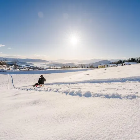 Hochleben-chalets Am Steinerhof Horská chata