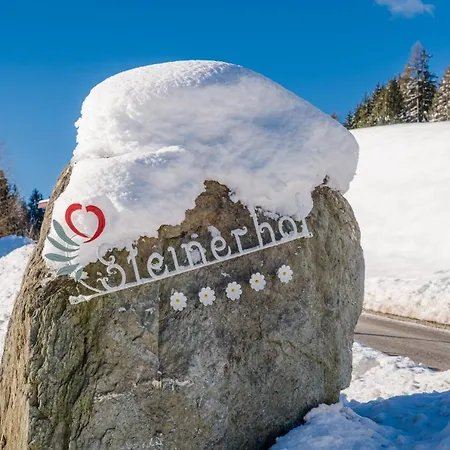 Hochleben-chalets Am Steinerhof Horská chata Liebenfels