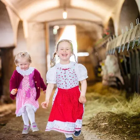 Horská chata Hochleben-chalets Am Steinerhof *