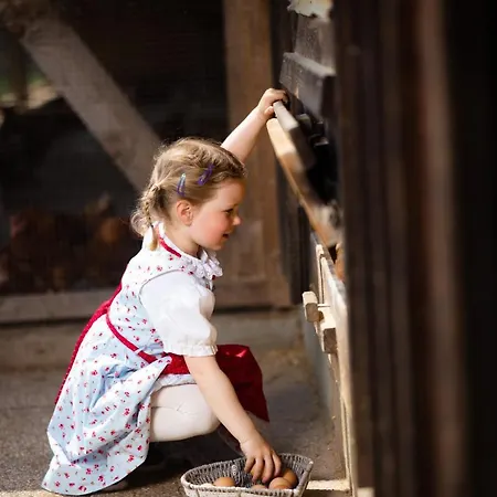 Hochleben-chalets Am Steinerhof