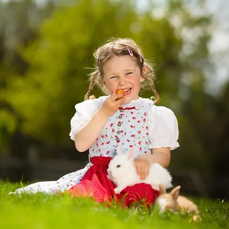 Hochleben-chalets Am Steinerhof Liebenfels
