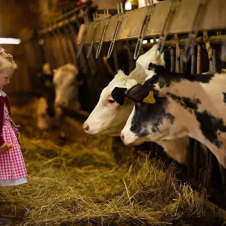 Hochleben-chalets Am Steinerhof Chalet *