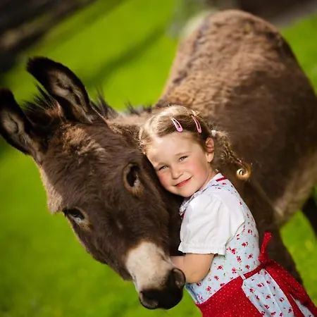 Hochleben-chalets Am Steinerhof * Liebenfels