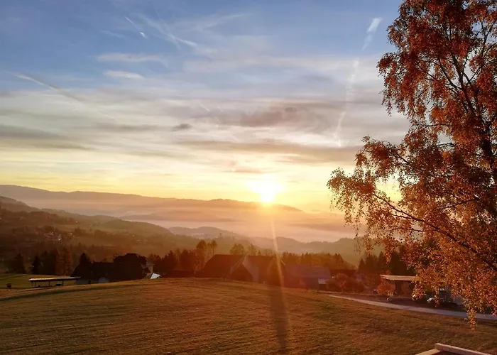Hochleben-chalets Am Steinerhof *