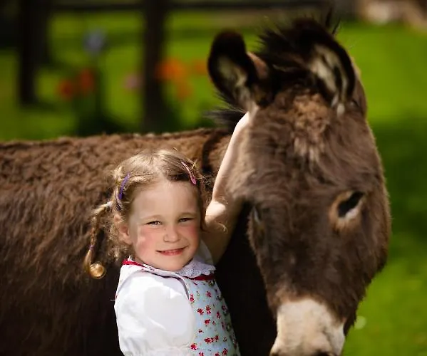 Hochleben-chalets Am Steinerhof Domek alpejski