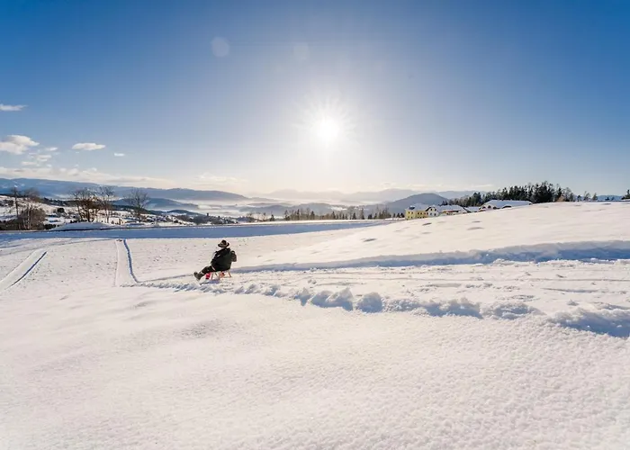 Hochleben-chalets Am Steinerhof Domek alpejski