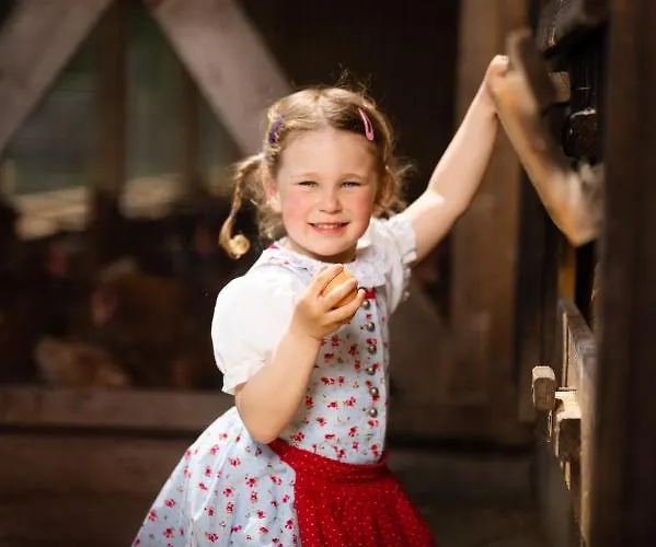 Domek alpejski Hochleben-chalets Am Steinerhof Liebenfels