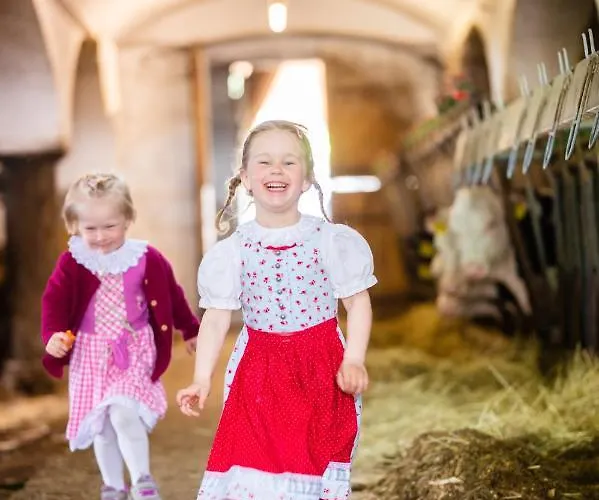 Domek alpejski Hochleben-chalets Am Steinerhof *