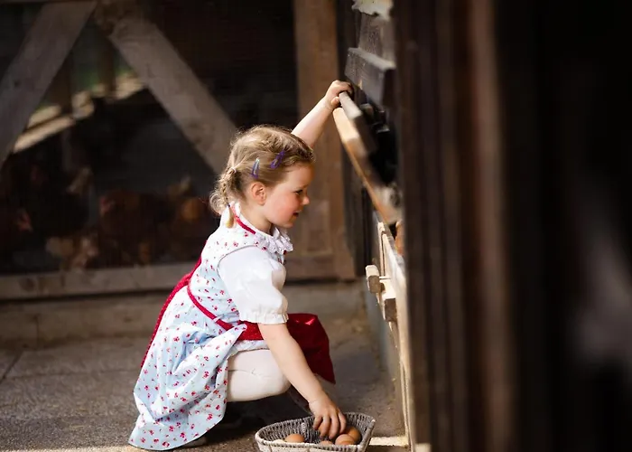 Hochleben-chalets Am Steinerhof