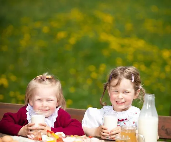 Hochleben-chalets Am Steinerhof Domek alpejski *