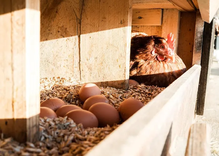 Domek alpejski Hochleben-chalets Am Steinerhof
