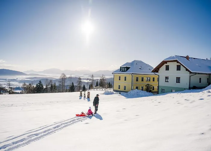 Hochleben-chalets Am Steinerhof