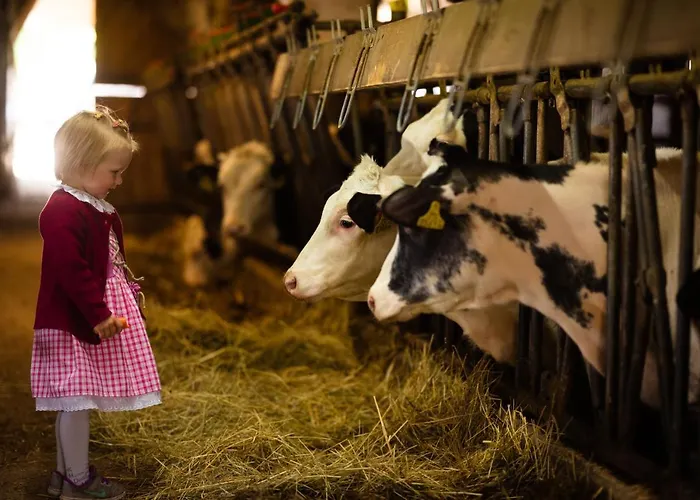 Hochleben-chalets Am Steinerhof Domek alpejski *