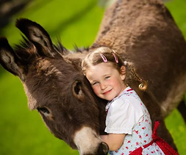 Hochleben-chalets Am Steinerhof * Liebenfels
